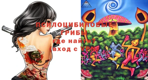 мдпв Верхнеуральск