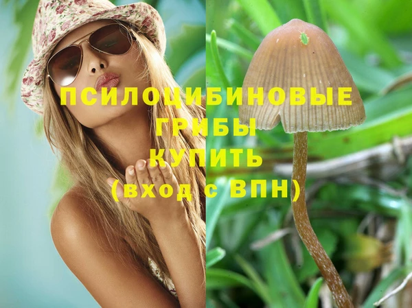 мдпв Верхнеуральск